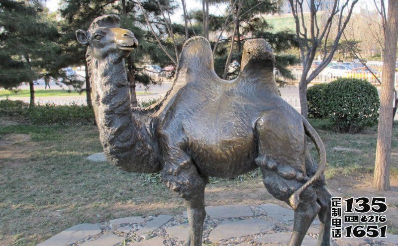 公園草地上擺放的回頭大玻璃鋼仿銅創意駱駝雕塑 公園草地上擺放的回頭大玻璃鋼仿銅創意駱駝雕塑