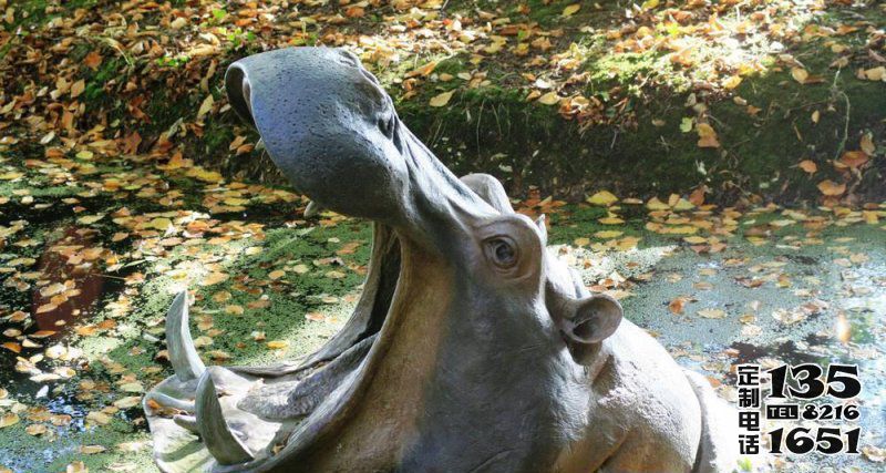 動物園里擺放的張著大嘴的玻璃鋼仿真創意河馬雕塑 動物園里擺放的張著大嘴的玻璃鋼仿真創意河馬雕塑